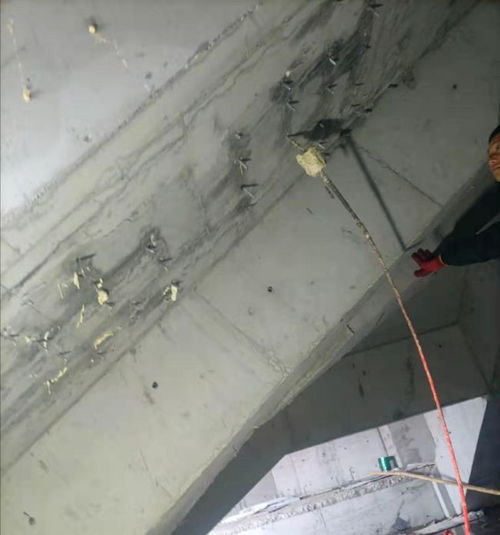 卫生间防水涂料怎么选择？内行人对比3种涂料，不再纠结选错了